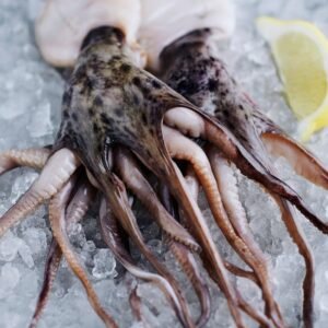 Closeup of fresh raw squid and lemon wedge on ice, perfect for gourmet seafood dishes.