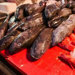 Close-up of fresh black cod and red fish displayed on ice at a seafood market.