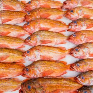 Dorada entera