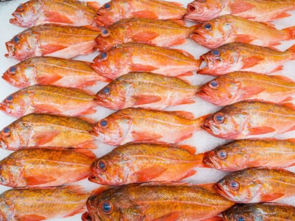 Dorada entera